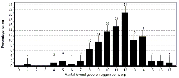 Rek00013.gif
